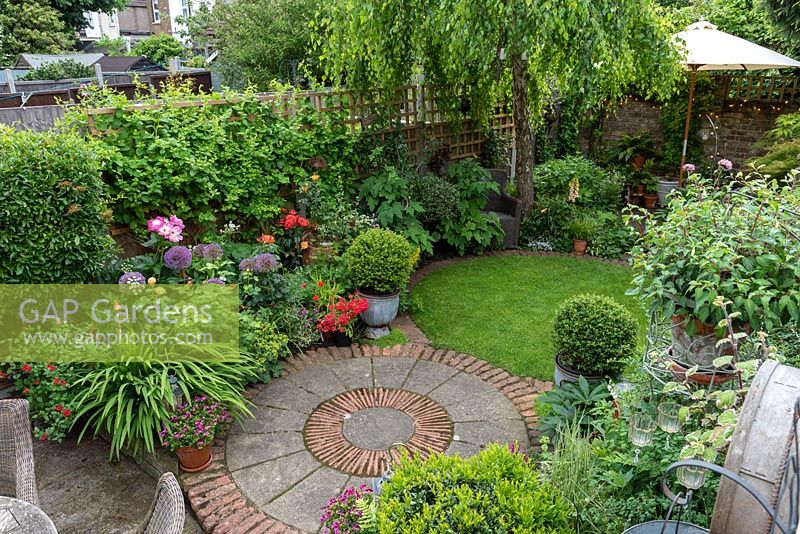 An 11m x 4m town plot has interlinked circles of paving and grass, leading to a rear deck shaded by a birch tree, Betula pendula. Pots of small-leaved holly balls add a formal touch beside winding beds of allium, peonies and roses. Honeysuckle is trained along trellis.