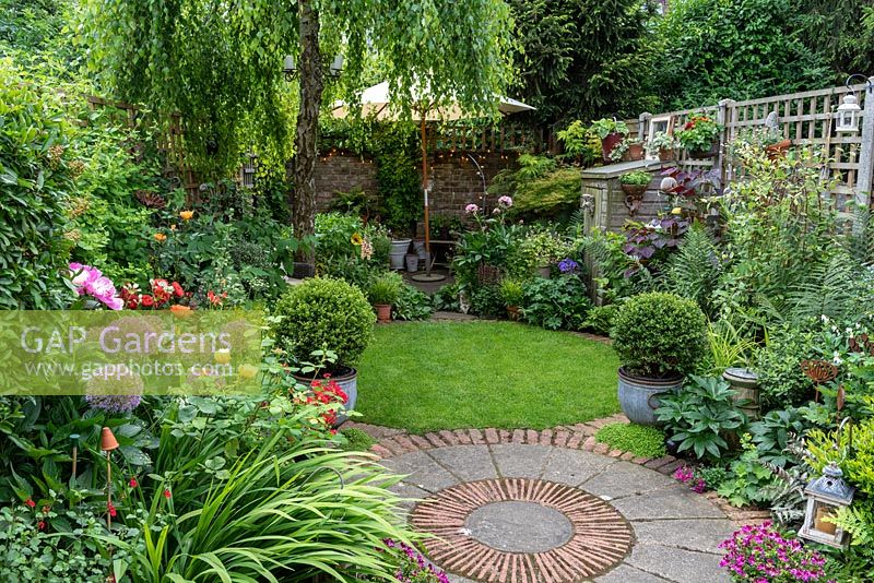 Circular patio edged in pots of pelargoniums, alliums, roses and leathery hellebore leaves. Beyond, circular lawn leading to a rear patio in the shade of a weeping birch.