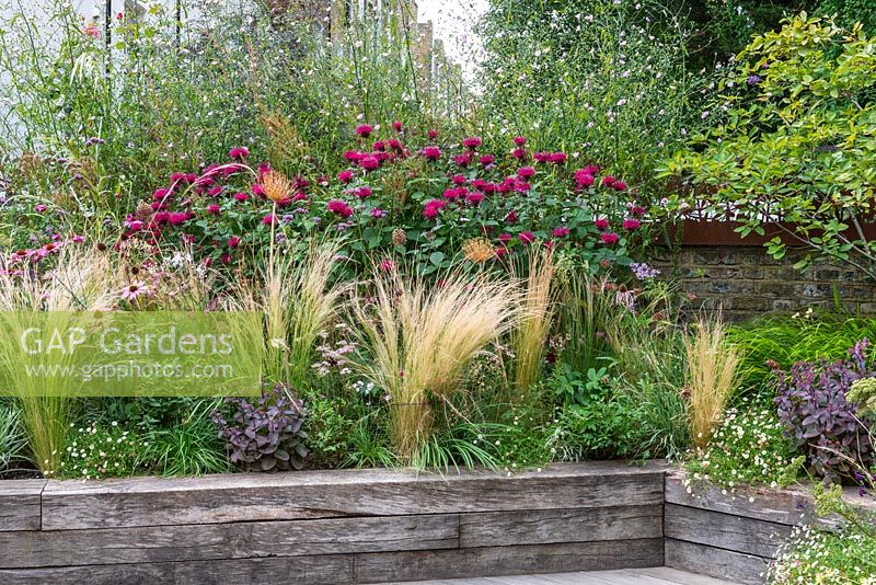 Raised beds planted with sun-loving, wildlife-friendly perennials and grasses in London garden.