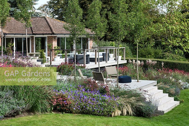 Autumn borders of herbaceous flowering plants and ornamental grasses wrap around a contemporary deck and terrace, linked by steps. 