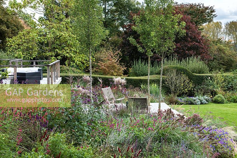 Autumn borders of herbaceous flowering plants and ornamental grasses wrap around a contemporary deck and terrace, linked by steps. Four 'Chanticleer' ornamental pear trees are planted in lowest terrace.