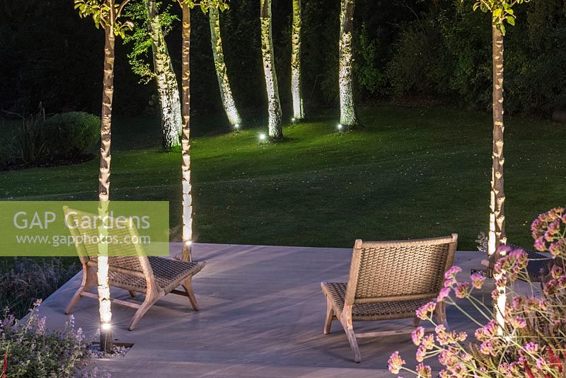 Lit at night, view between trunks of four 'Chanticleer' ornamental pear trees planted on lowest deck, out to spinney of silver birches planted in lawn.