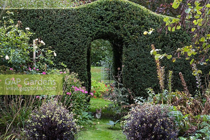 An arch is cut into an old yew hedge, framing a view of the vegetable patch beyond. 