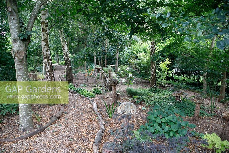 Woodland glade with winding path