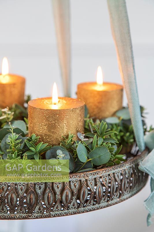 Detail of hanging advent arrangement with gold candles, Eucalyptus and Hebe foliage