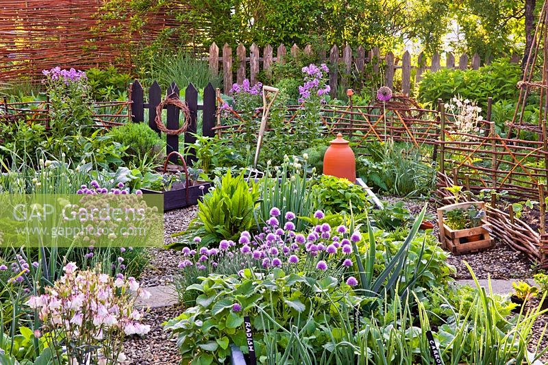 Vegetable garden in spring with flowering chives, tools and trug of seedlings.