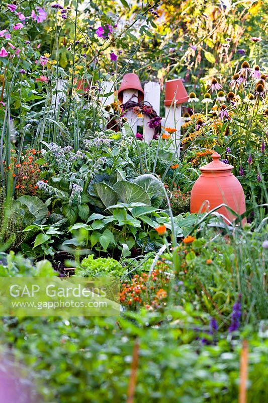 View to terracotta rhubarb forcer standing among vegetables, herbs and flowers in organic kitchen garden.