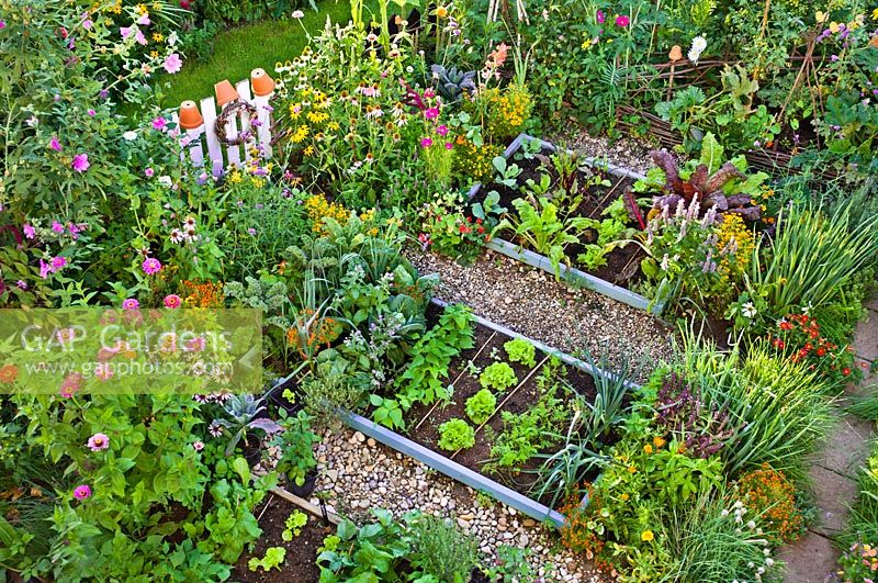 Overview of vegetable garden with raised beds.