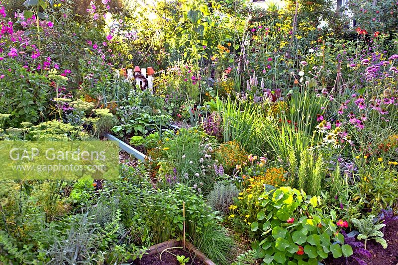 Herb garden and summer beds.