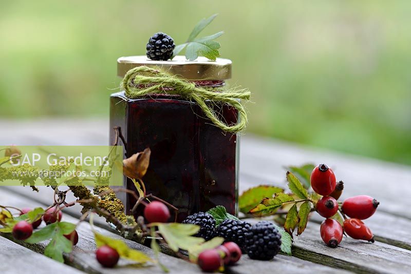 Jam jar with home made jam, Rose hips, Crataegus monogyna - Hawthorn red berries, wild blackberrries - Rubus fruticosus agg