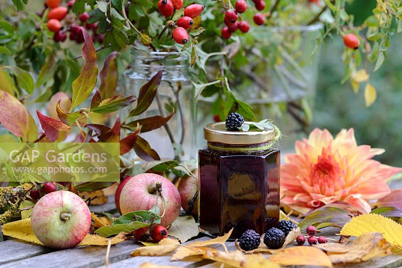 Home made jam with Rose hips, Crataegus monogyna - Hawthorn red berries, wild blackberrries - Rubus fruticosus agg, Dahlia, apples and fallen birch leaves, glass jam jars