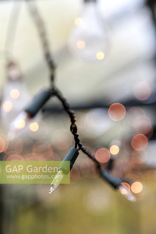 Fairy lights and clear bulbs in greenhouse roof