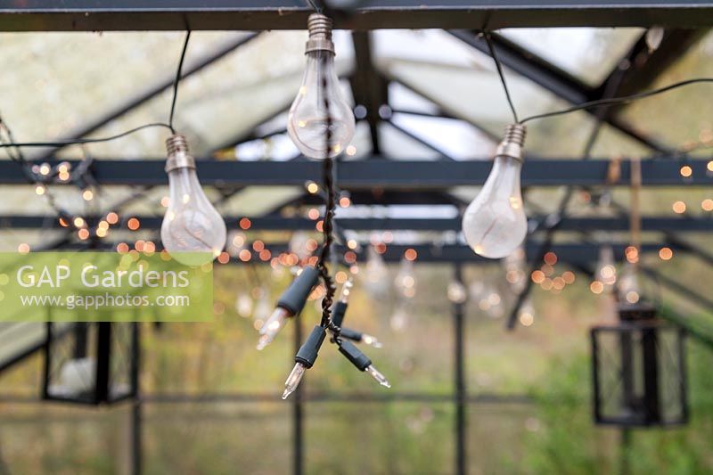 Fairy lights and clear bulbs suspended from a greenhouse roof