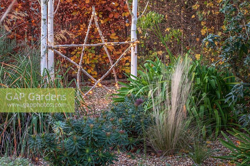 Illuminated natural star leaning against white Betula - Birch - tree trunks, gravel garden with evergreen perennials in foreground