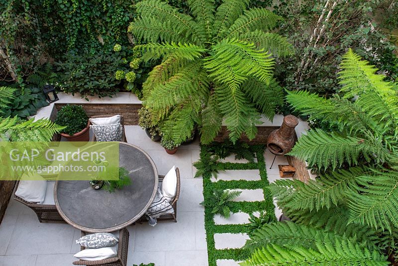 Bird's-eye view of enclosed courtyard with outdoor dining. Green and white colour scheme with Dicksonia antarctica - Tree Ferns, between paving, ferns and Soleirolia soleirolii syn. Helxine soleirolii - Mind-your-own-business