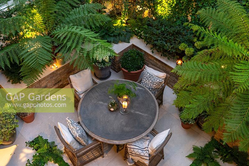A bird's-eye view of an enclosed courtyard with outdoor dining, fronds of Dicksonia antarctica - Tree Fern - filtering the light from uplighters