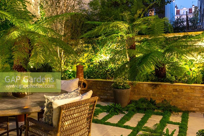 A walled town courtyard with outdoor dining lit at night, illuminating Dicksonia antarctica - Tree fern, Hydrangea and Hosta in raised beds