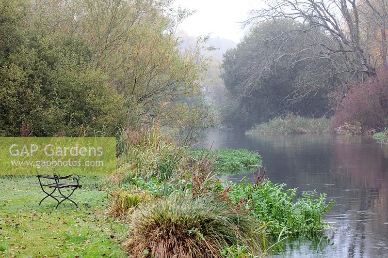 River view on a misty autumn morning. A vintage wood and metal garden seat  overlooks the tree lined River Wylye