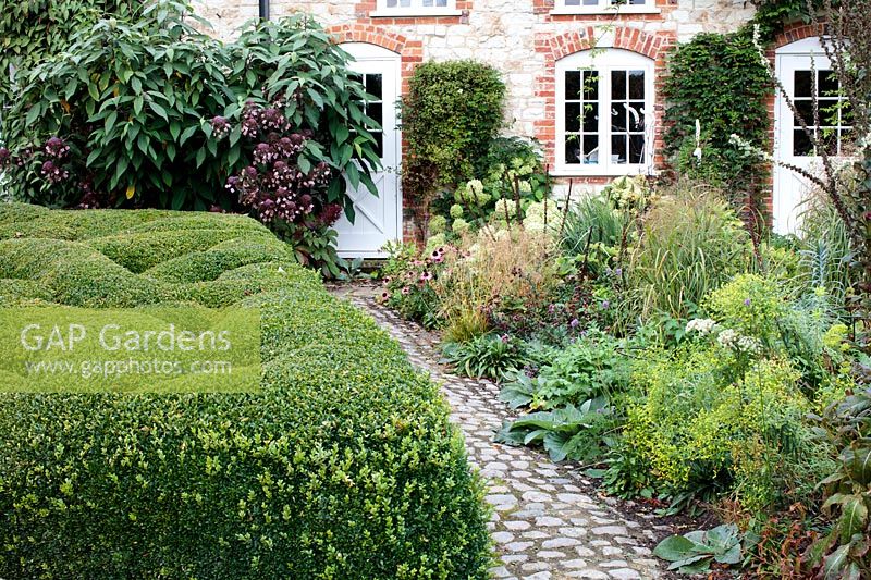 Cobbled path, cloud pruned Buxus - Box - and flower border in front of house