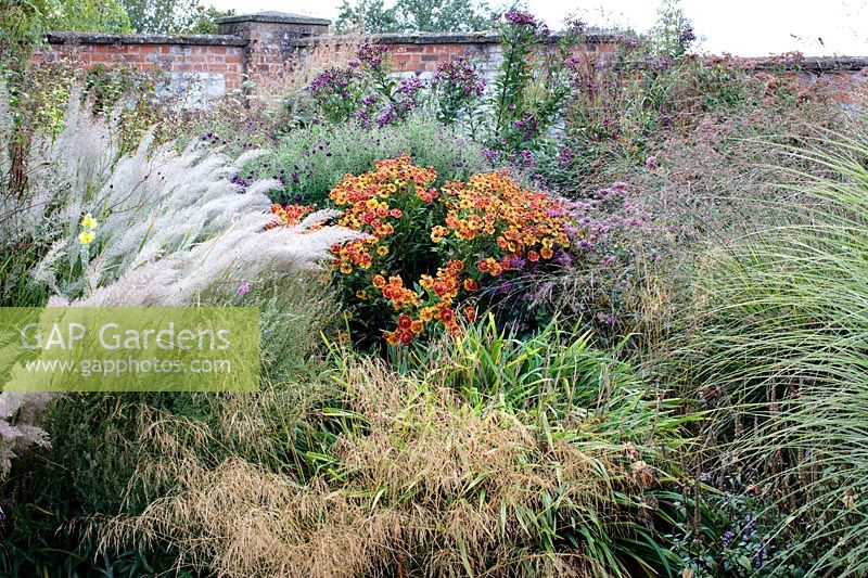 Autumn border with grasses and seedheads 