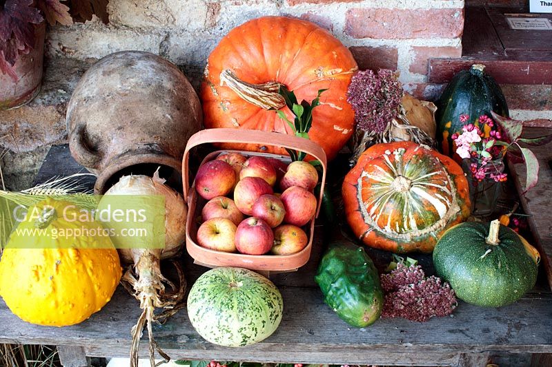 Display of harvested Ornamental Gourd, Pumpkin, Apple and Onion