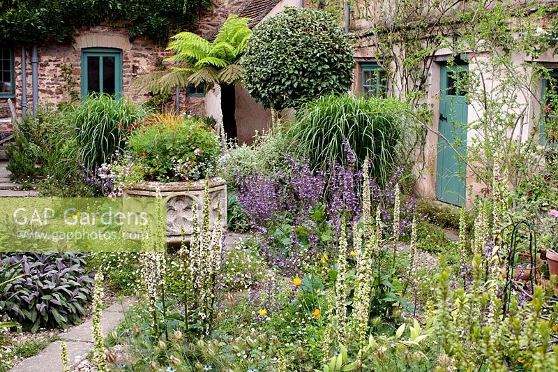 Courtyard gravel garden with large ornate natural stone urn and planting which includes Verbascums, Nigella damascena -love-in-a-mist, and Salvias. 