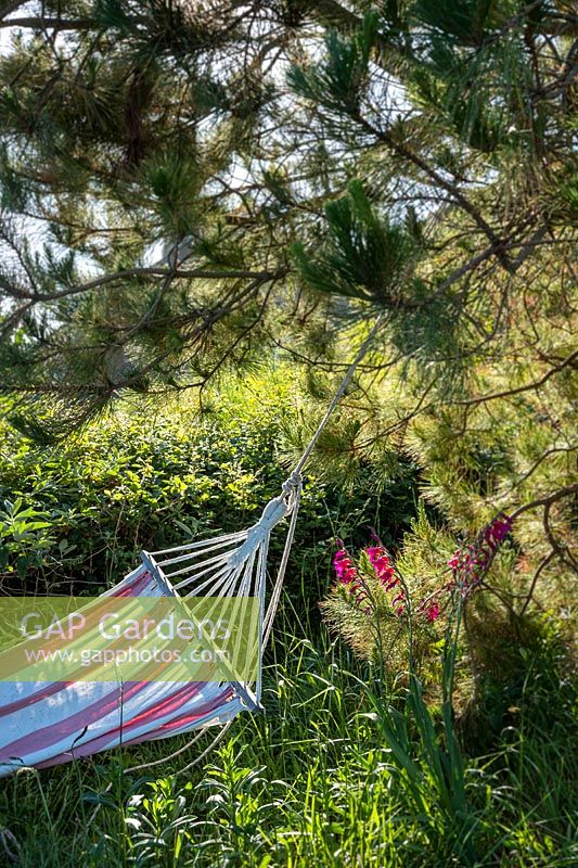 Old striped hammock hanging from tree in country garden