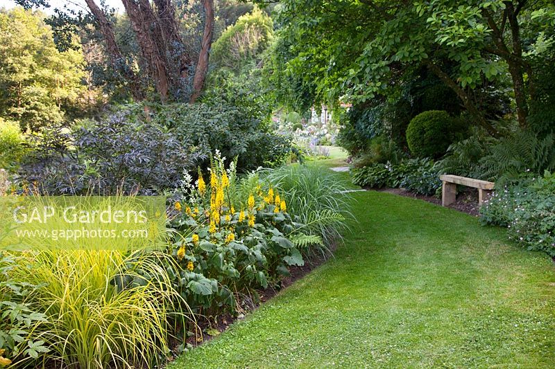 This shady part of the garden at Mill House is planted with grasses, Carex elata 'Aurea' and Miscanthus sinensis 'Kleine Fontaine' as well as Sambucus nigra f. porphyrophylla 'Eva' and Ligularia 'The Rocket'