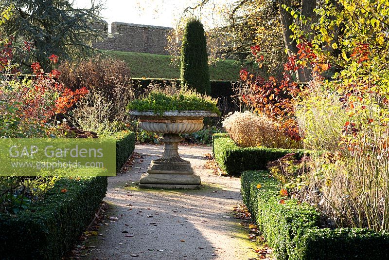 View along path to central urn with four beds edged with Euonymus 'Green Spire' containing Rosa and Cotinus
