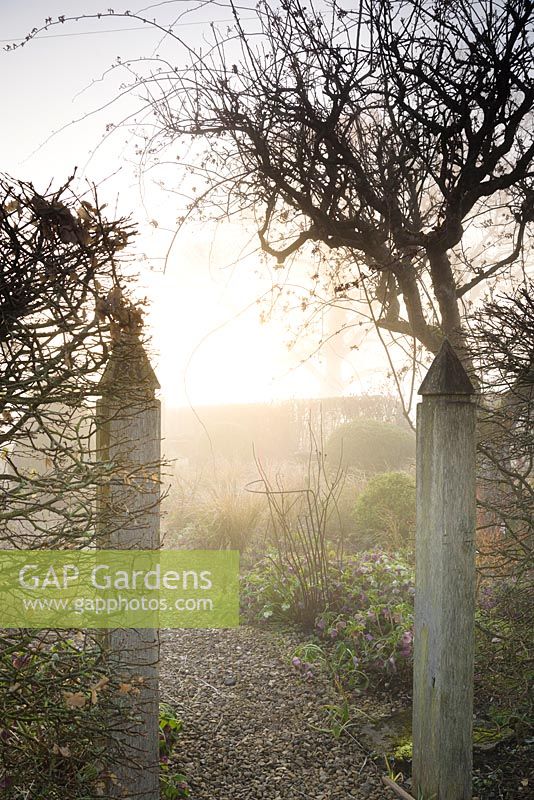 Oak gatepost frame an entrance into the garden in March