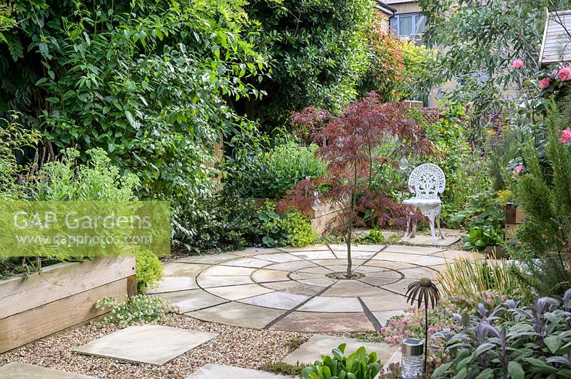 Circular paving with centrally planted Acer in East London Town Garden, by Earth Designs. 