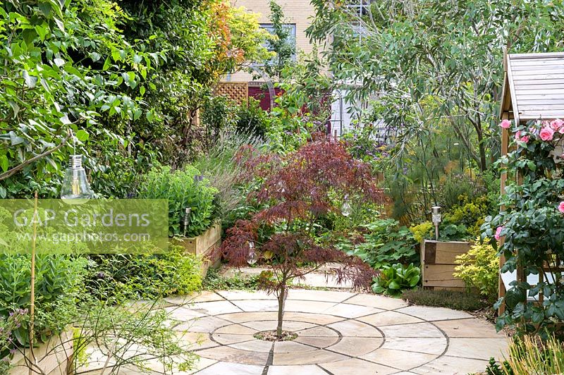 View over paved circle with central Acer - Maple - to raised beds, beyond buildings screened by shrubs and trees 