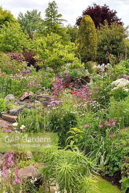 Dense planting including perennials, bulbs, alpines and trees, in foreground raised rockery