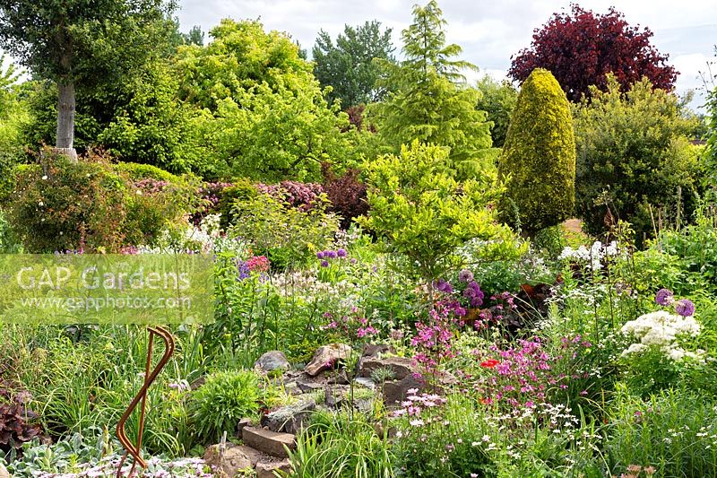 Dense planting including perennials, bulbs, alpines and trees, in foreround rockery 