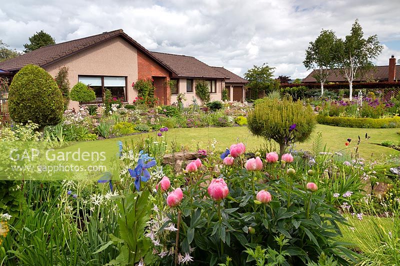 House viewed from Paeonia 'Coral Charm' and Meconopsis in beds surrounding lawn 