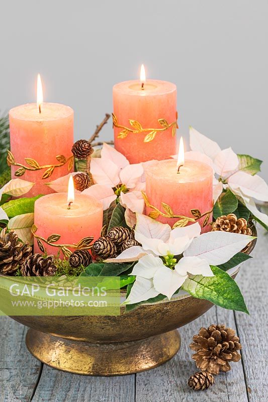 Arrangement in a golden bowl, with four pillar candles, Poinsettia flowers, cones and moss