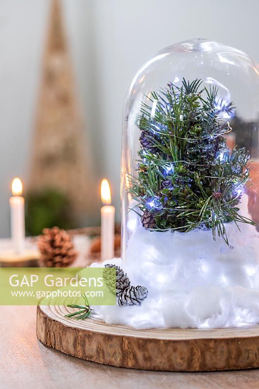 Snow globe with glass dome, miniature Christmas tree, fairy lights and cottonwood as snow