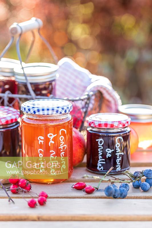 Selection of jams and jellys in Autumn with hedgerow berries - with french labels