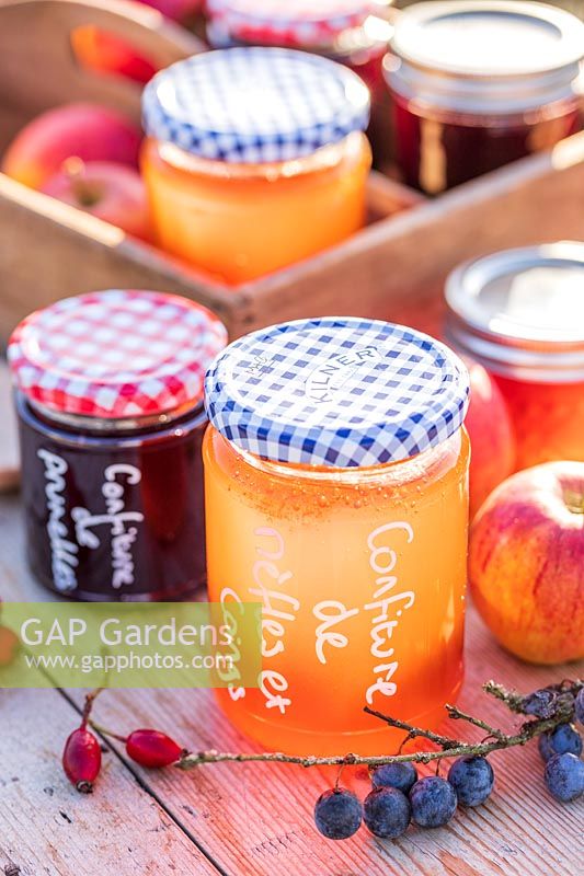 Selection of jams and jellys in Autumn with hedgerow berries - with French labels