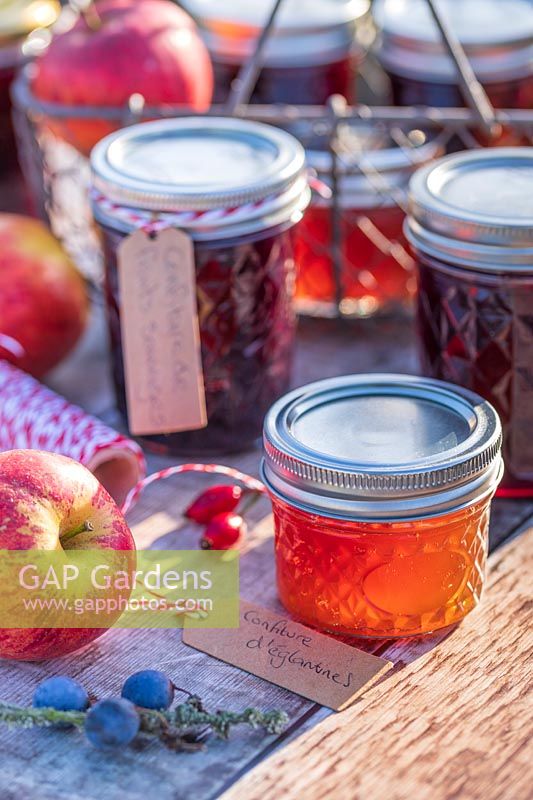 Selection of jams and jellys in Autumn with apples - French labels