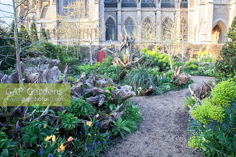 The Stumpery garden in spring, with decorative sculptural logs and hellebores, Euphorbia, Primula, Muscari and tulips. Arundel Castle, West Sussex, UK. 