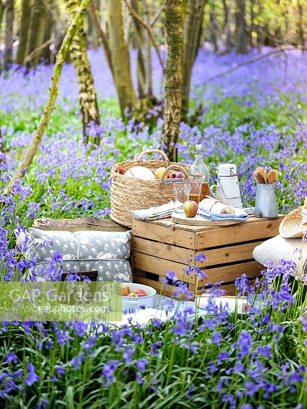 Picnic set out in Bluebell wood, with cushions, blankets, wooden boxes, baskets and food.
