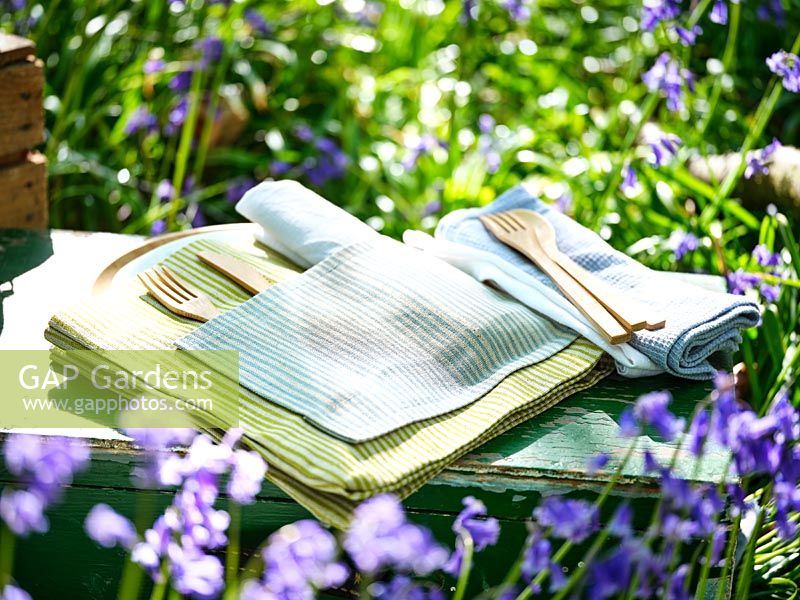 Wooden cutlery on plate with serviettes on picnic in Spring
