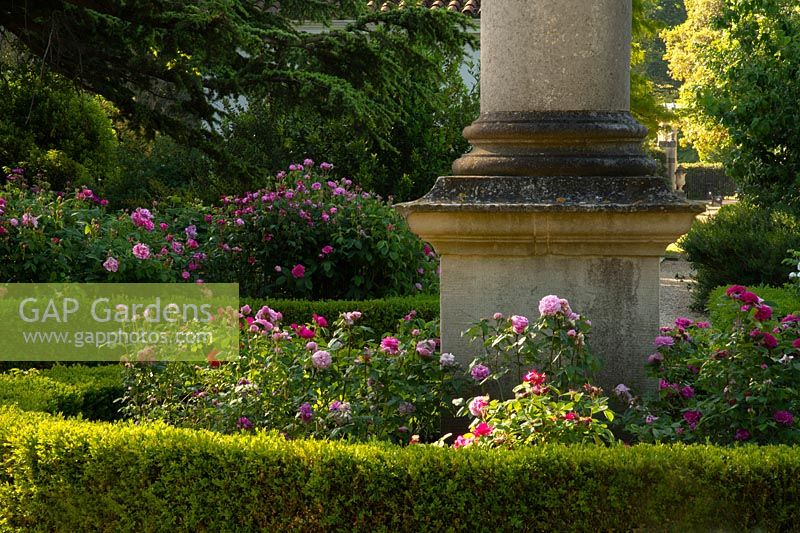 A rose garden surrounding an obelisk at Chiswick House Gardens, Chiswick, London, UK