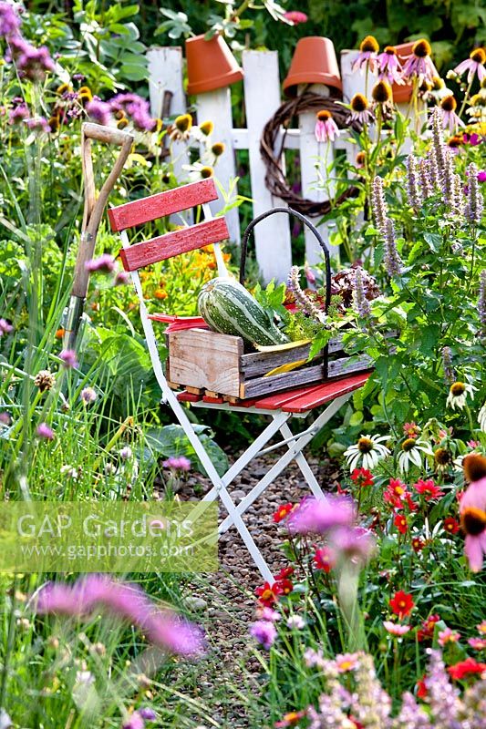 Trug of harvested produce in vegetable garden placed on a chair