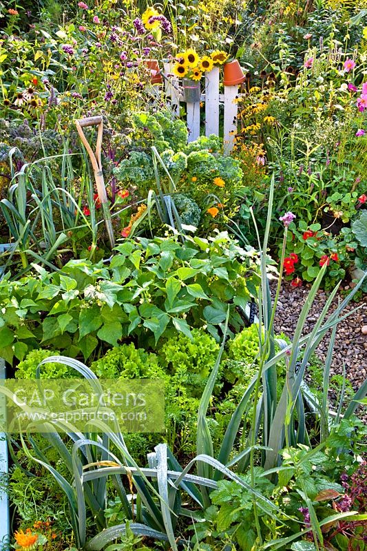 Vegetable bed with leek, carrots, lettuces, French beans, nasturtium, marigold and kale.