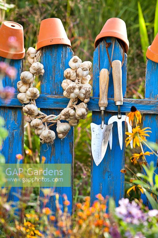 Plaited Garlic and tools on a fence