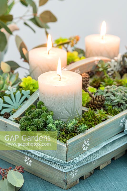 Advent arrangement in wooden box with carved pillar candles and succulents being used as a centrepiece on a dining table 