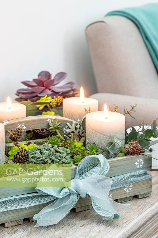 Advent arrangement in a wooden box with carved pillar candles and succulents on coffee table