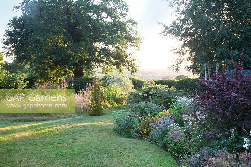 Lawn edged with summer borders and grasses 